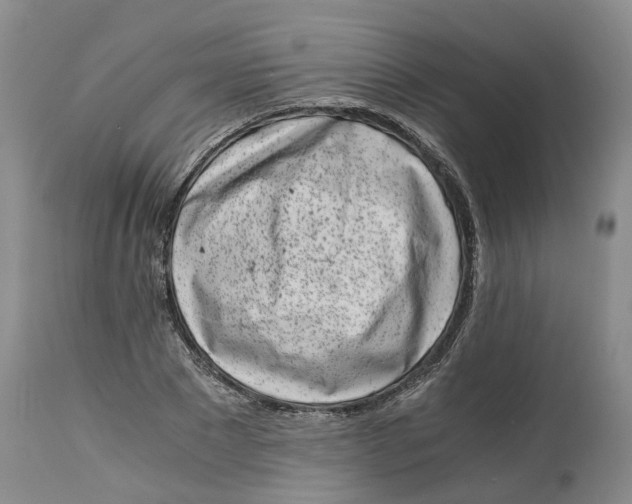 X0000115000881200911161534