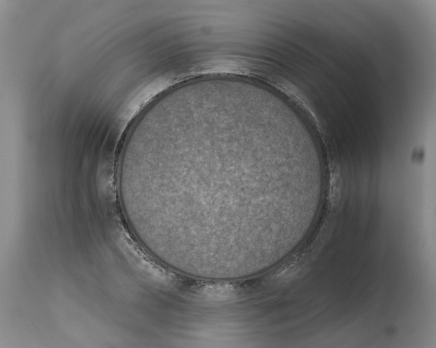 X0000115000882200911161534