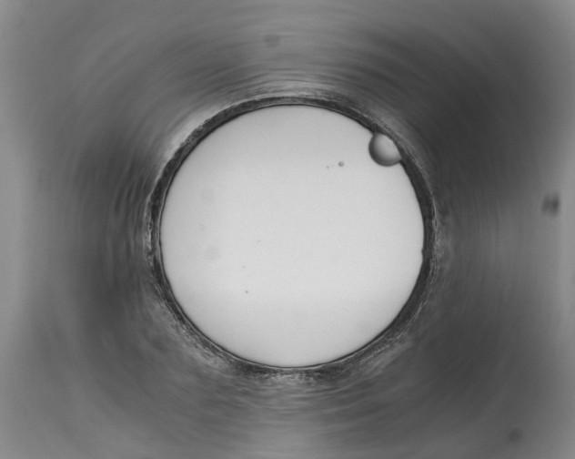 X0000115000883200911161534