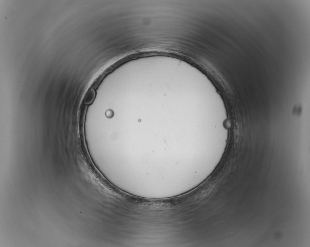 X0000115000884200911161534