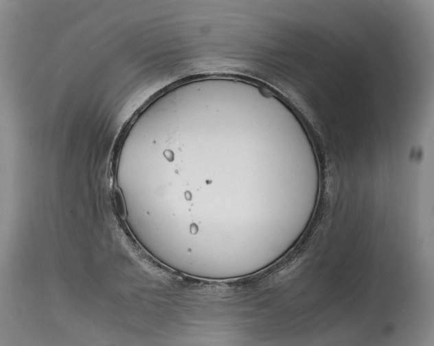 X0000115000885200911161534