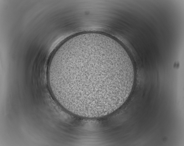 X0000115000886200911161534