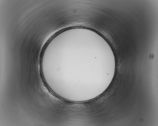 X0000115000888200911161534