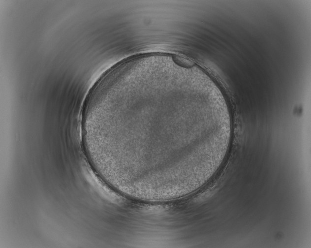 X0000115000892200911161534