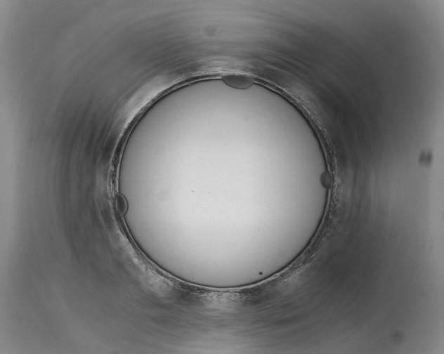 X0000115000893200911161534