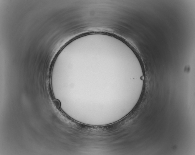 X0000115000895200911161534