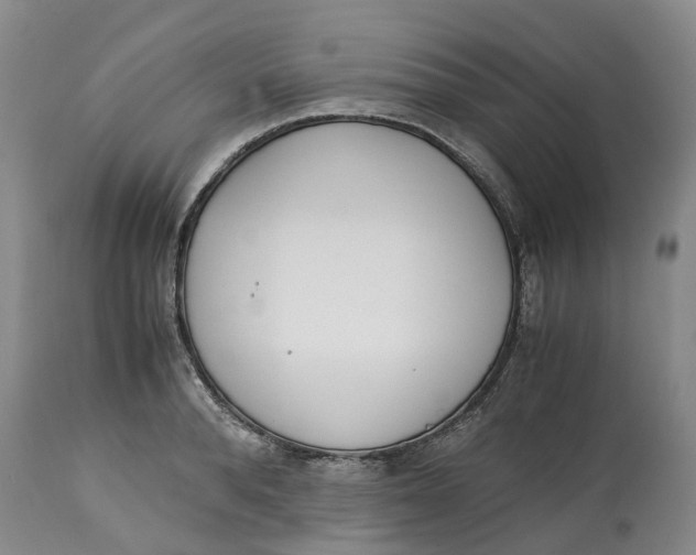 X0000115000896200911161534