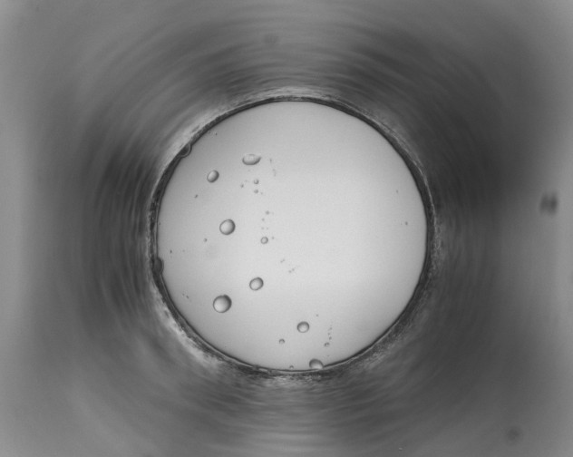 X0000115000898200911161534