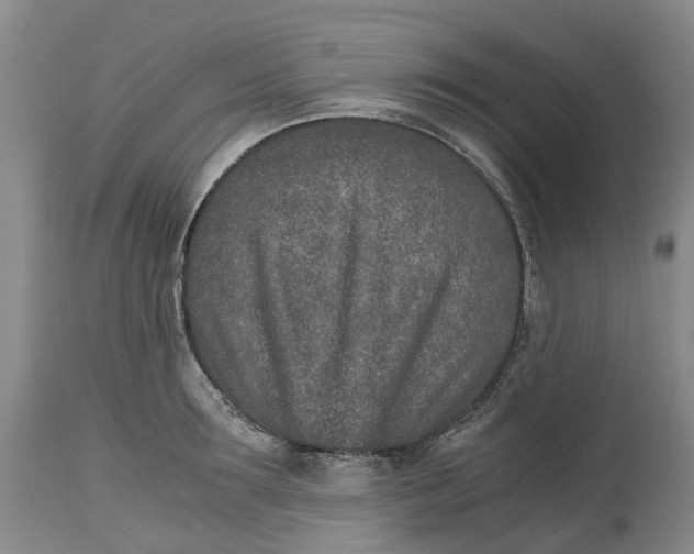 X0000115000899200911161534