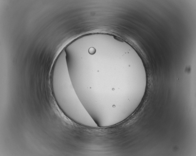 X0000115000900200911161534