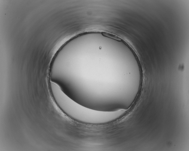 X0000115000901200911161534