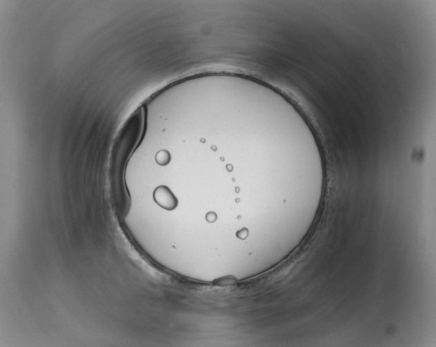 X0000115000902200911161534