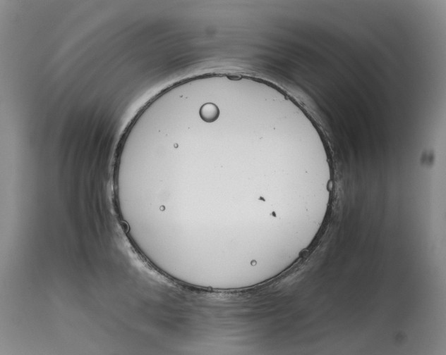 X0000115000904200911161534