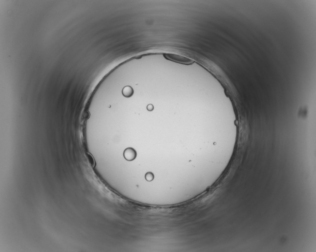 X0000115000908200911161534