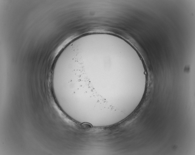 X0000115000909200911161534