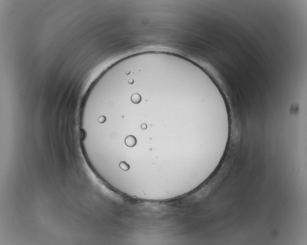 X0000115000910200911161534