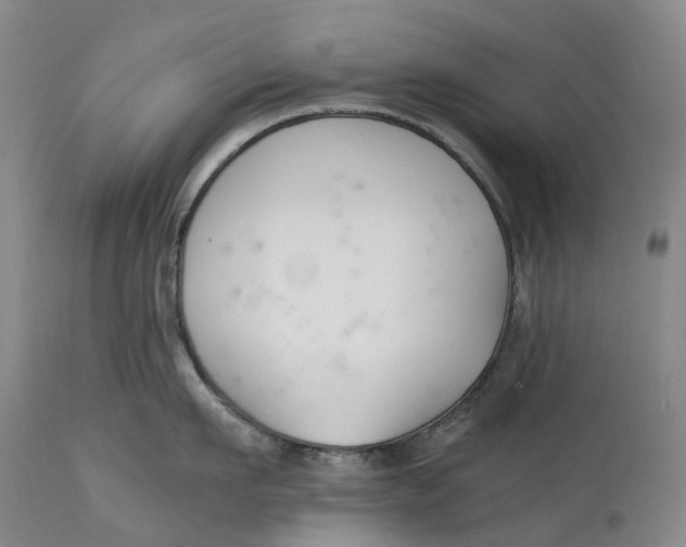 X0000115000911200911161534