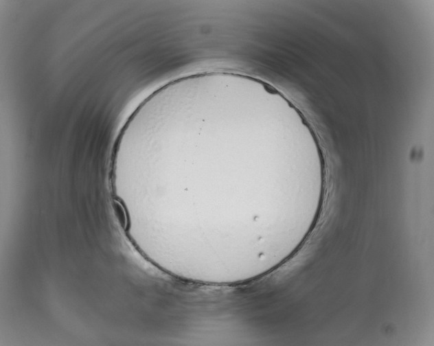 X0000115000912200911161534