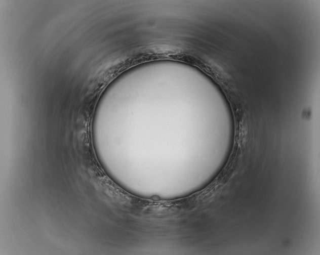 X0000115000917200911161533