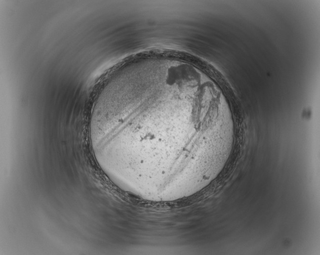 X0000115000919200911161533