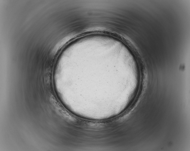 X0000115000921200911161533