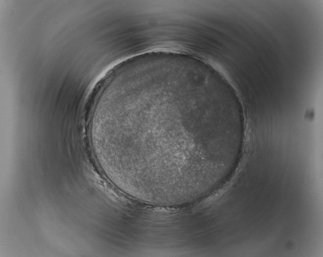 X0000115000923200911161533