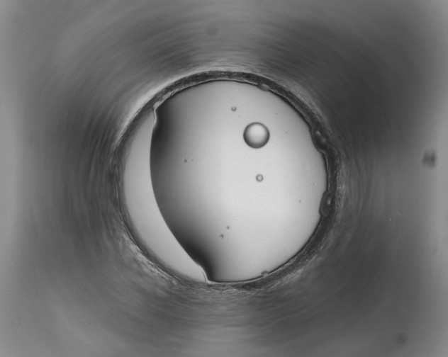 X0000115000926200911161533