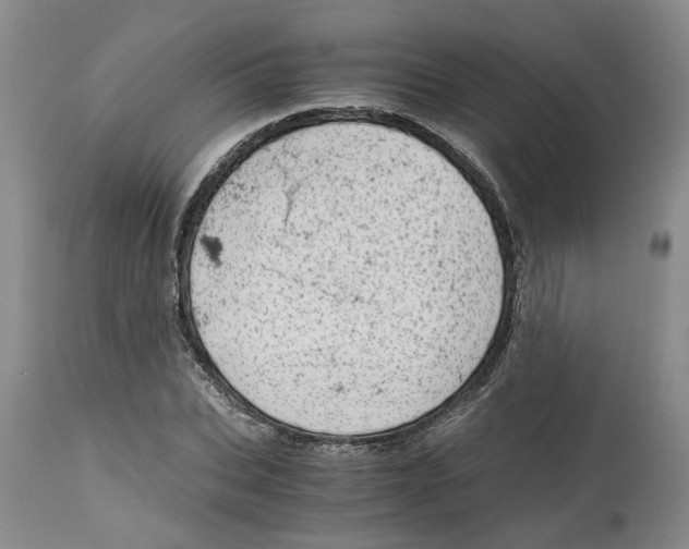 X0000115000927200911161533