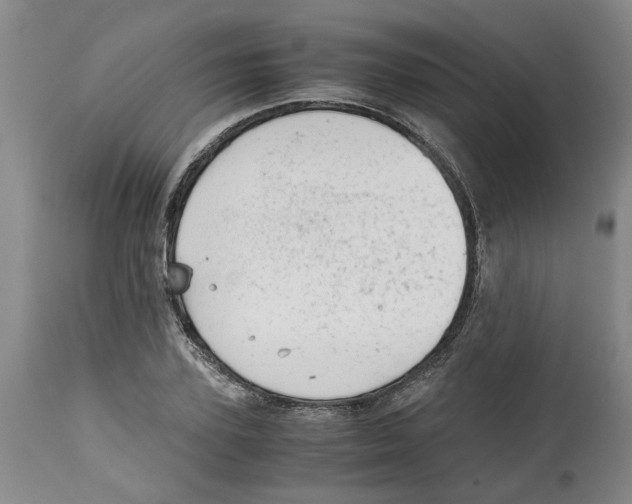 X0000115000931200911161533