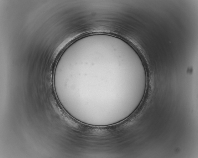 X0000115000933200911161533