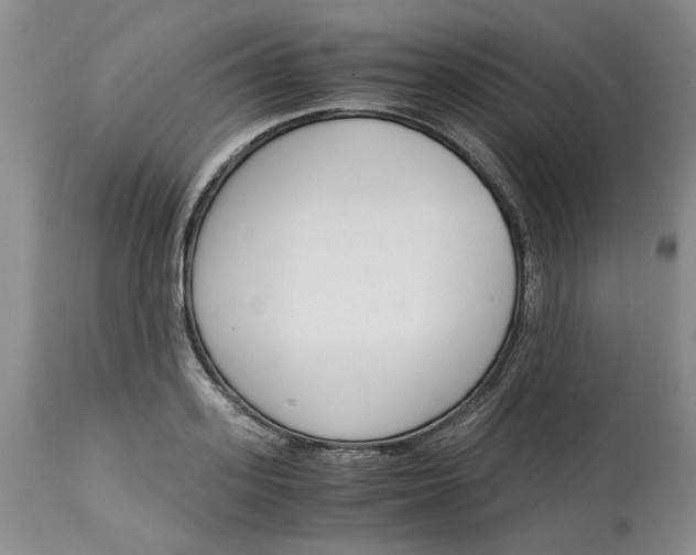 X0000115000939200911161533