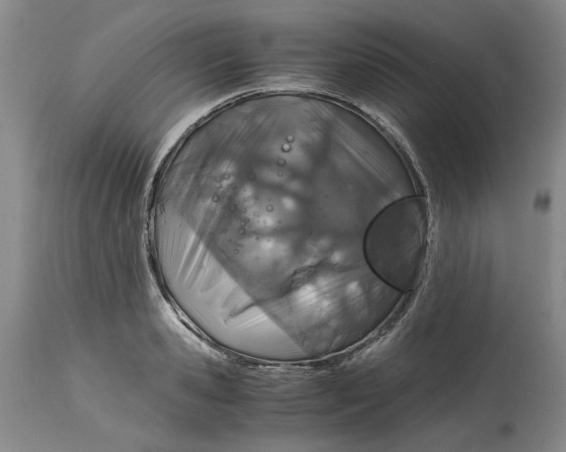 X0000115000941200911161533