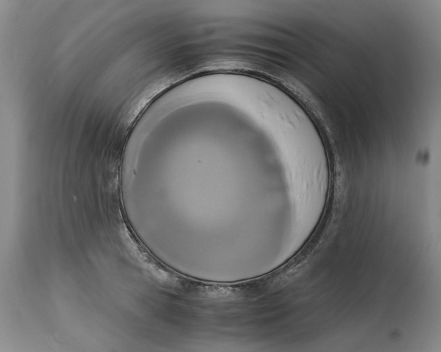 X0000115000945200911161533