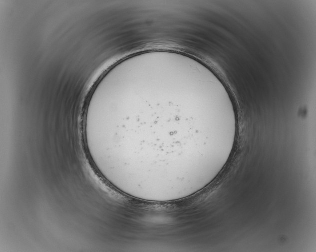 X0000115000947200911161533