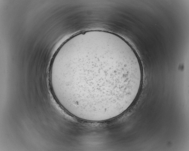 X0000115000949200911161534