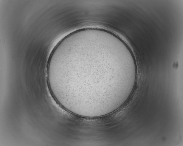 X0000115000951200911161534