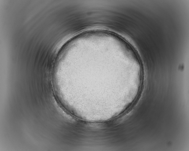 X0000115000953200911161534