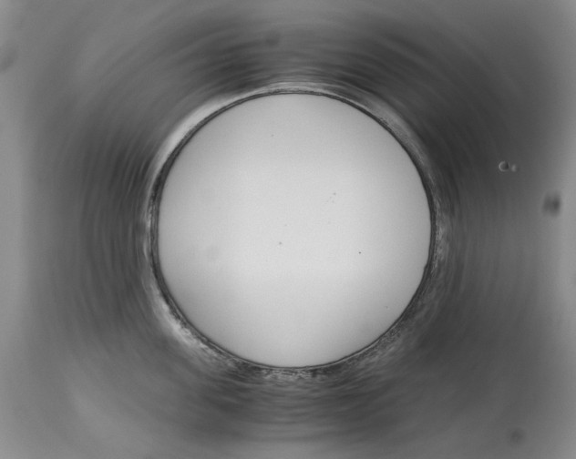 X0000115000955200911161534