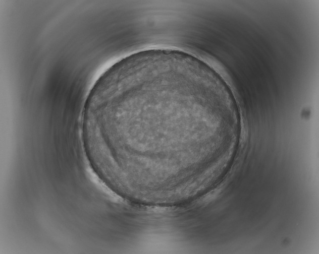 X0000115000958200911161534