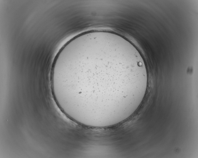 X0000115000959200911161534