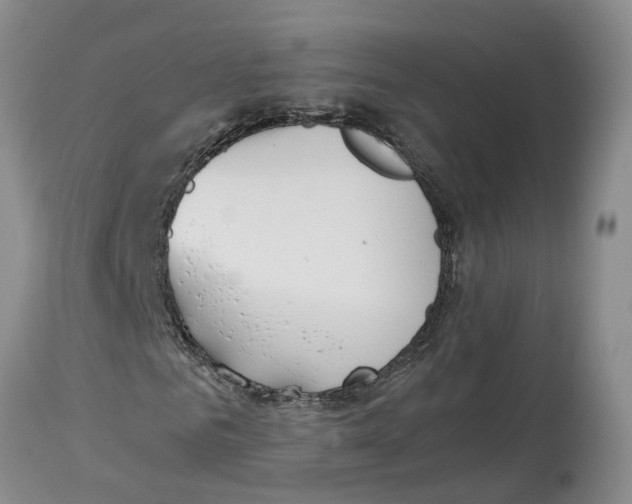 X0000115000961200911161533