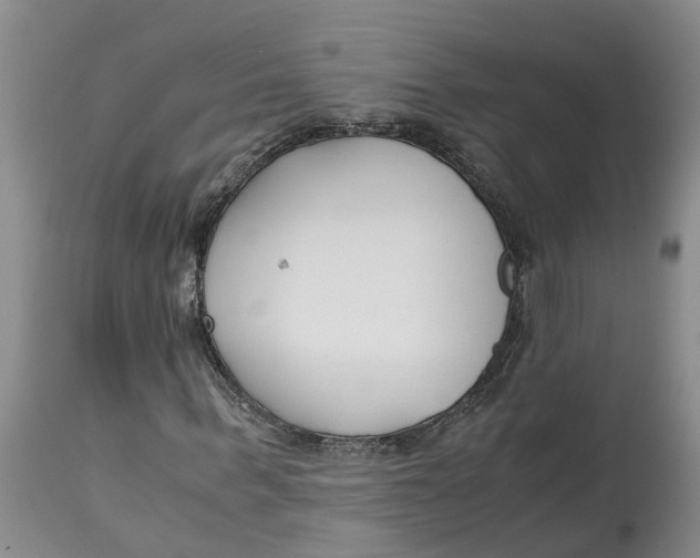 X0000115000963200911161533