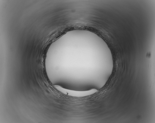 X0000115000964200911161533