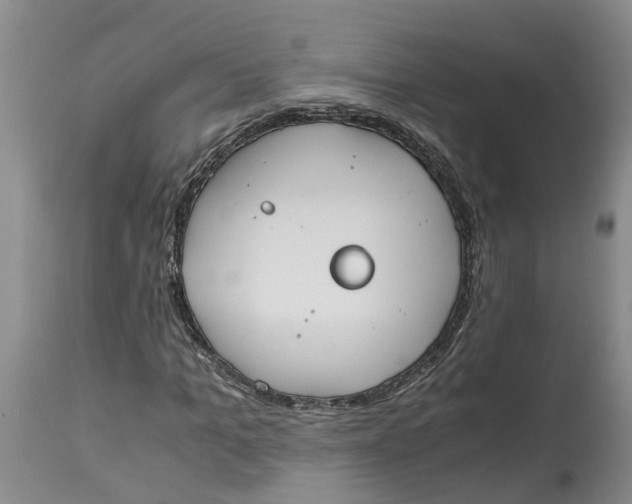 X0000115000965200911161533