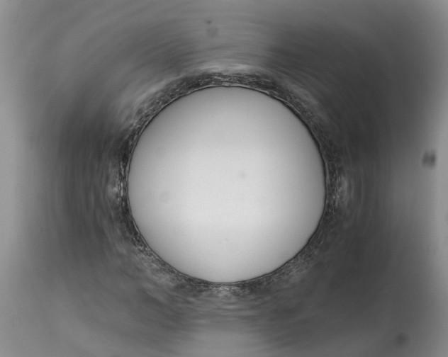 X0000115000966200911161533