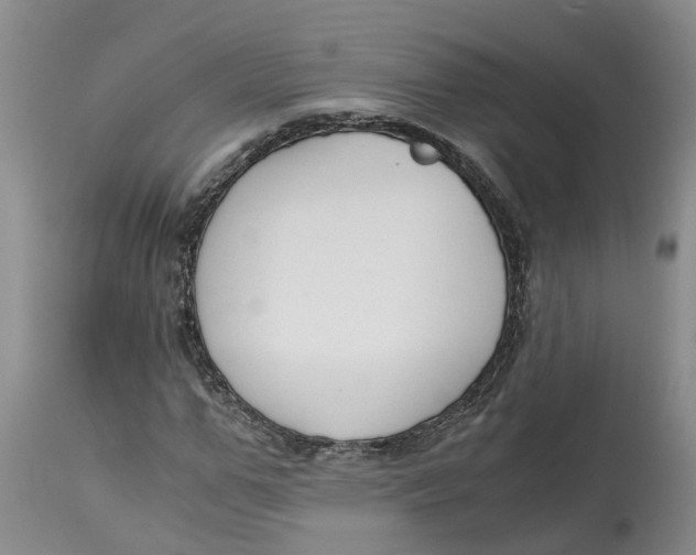 X0000115000967200911161533