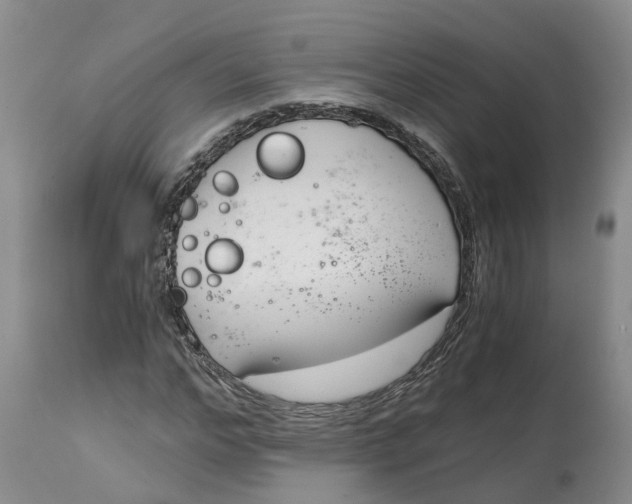 X0000115000968200911161533