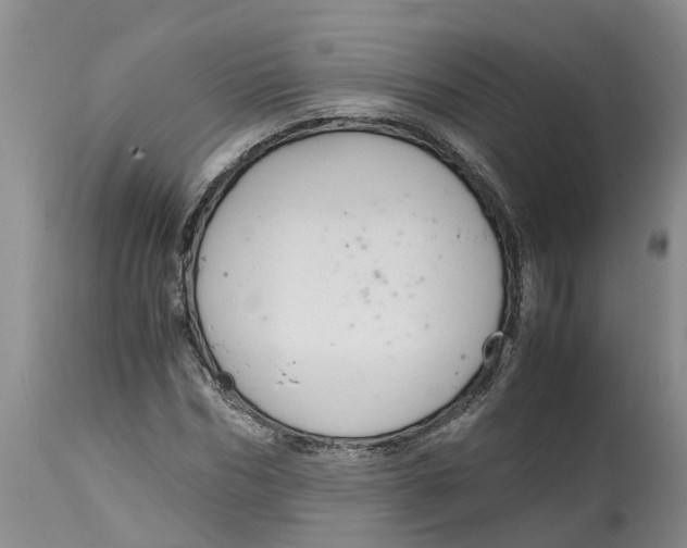 X0000115000970200911161533