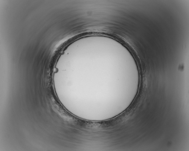 X0000115000971200911161533