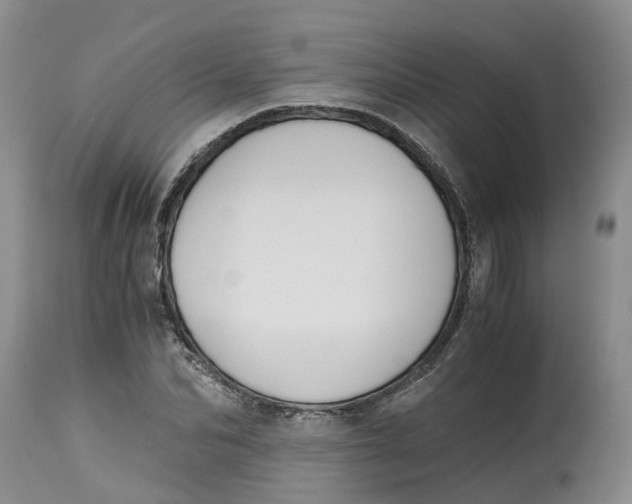 X0000115000974200911161533